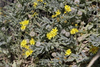 rra delle Concazze-05-08-2014 11-23-52